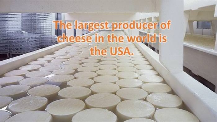 Cheese facts