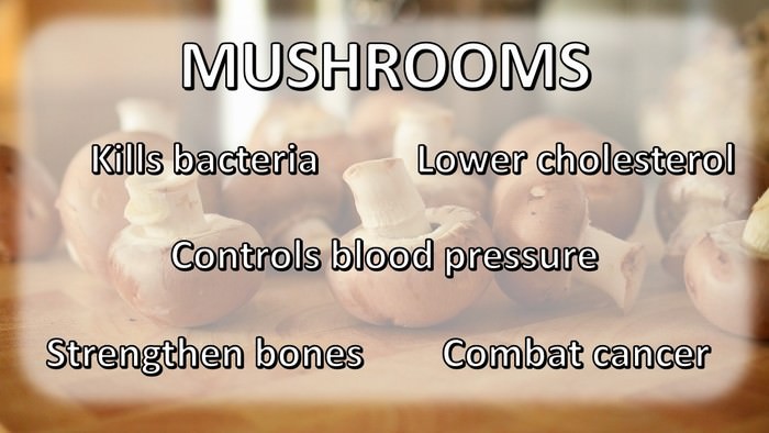 Food Chart