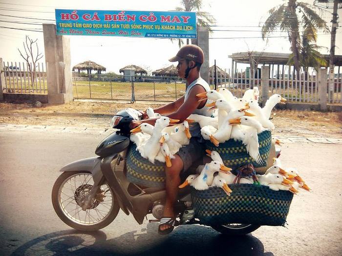 Overloaded Vehicles