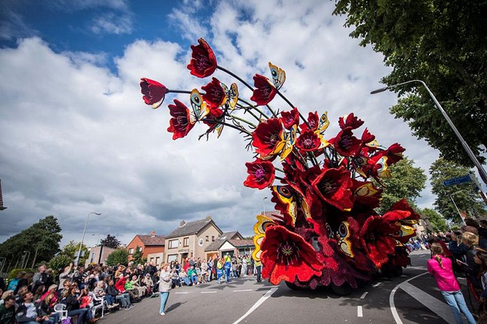 Flower                                                          Festival