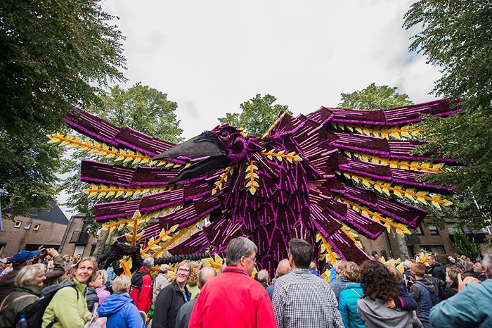 Flower                                                          Festival