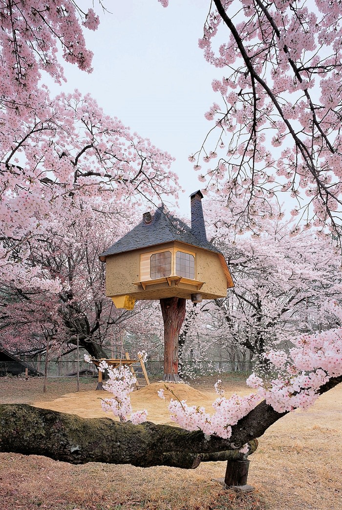 Amazing tree houses