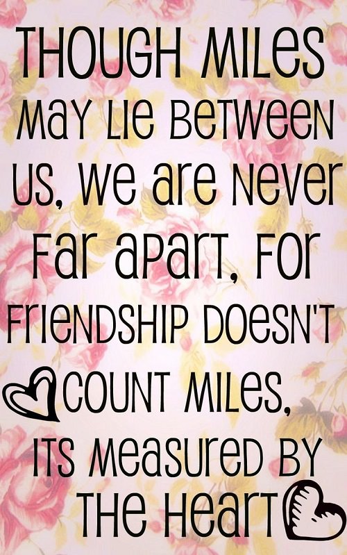 (friendship quotes)