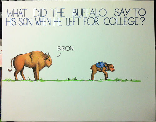 Animal Jokes