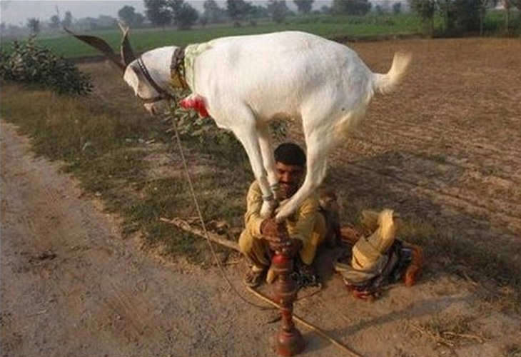 You ll Only See These Things Happening In India Travel BabaMail