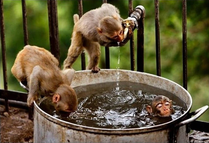 You ll Only See These Things Happening In India Travel BabaMail
