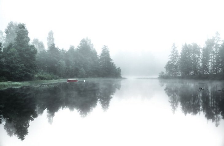 Magnus Dovlind, Sweden, winter, nature