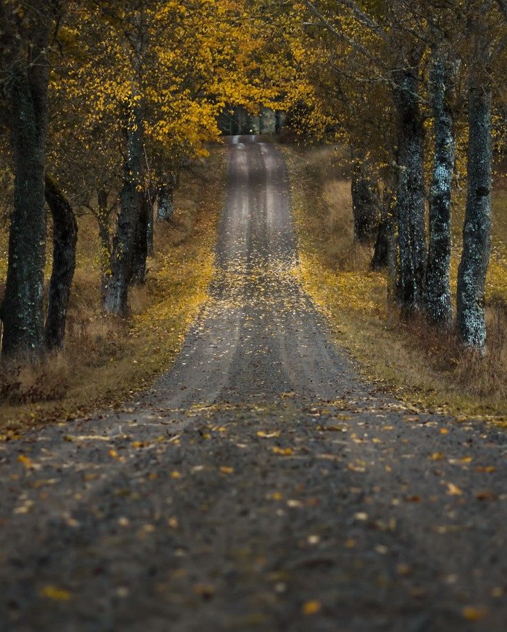 Magnus Dovlind, Sweden, winter, nature