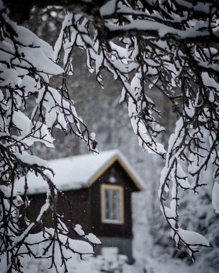 Magnus Dovlind, Sweden, winter, nature