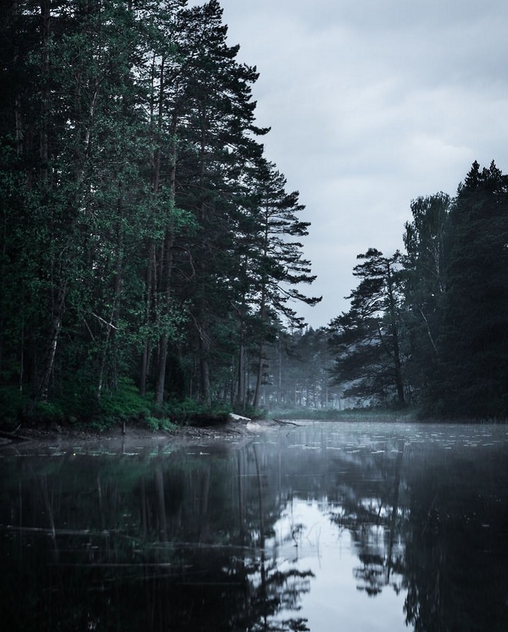 Magnus Dovlind, Sweden, winter, nature