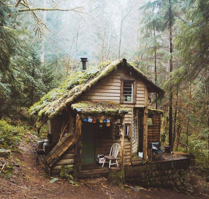 Redhead log cabins