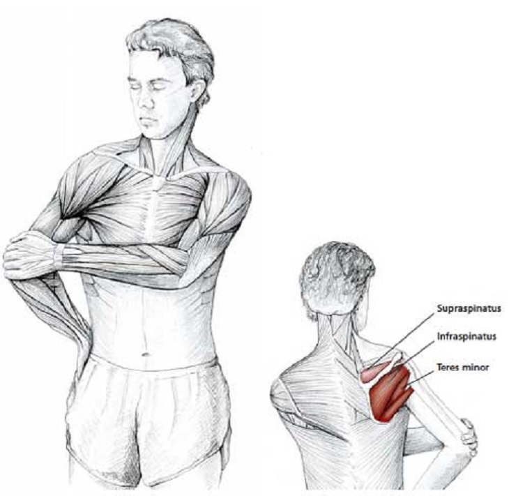 목 및 어깨에 긴장을 릴리스 하는방법( 스트레칭 할때 근육모습) : 네이버 블로그