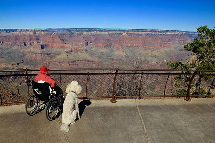 Hitting The Open Road Appears To Be The Best Cancer Remedy