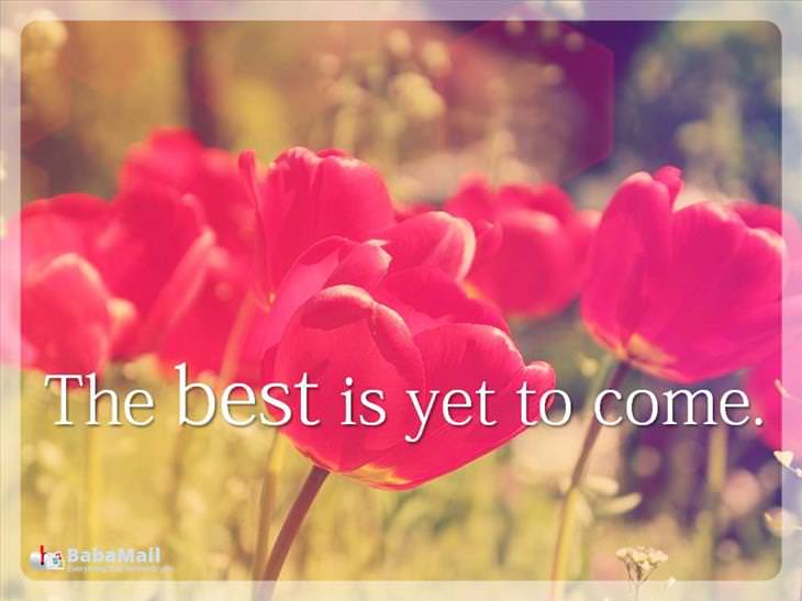 advice to live by