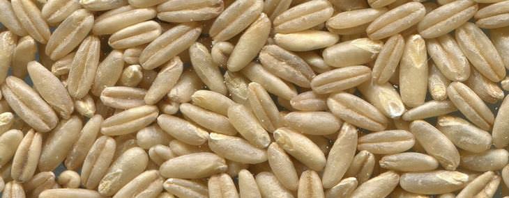 Steel-cut oats, diabetes