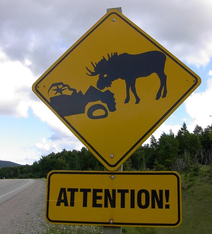 funny road signs