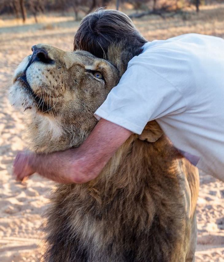 man and pet lion