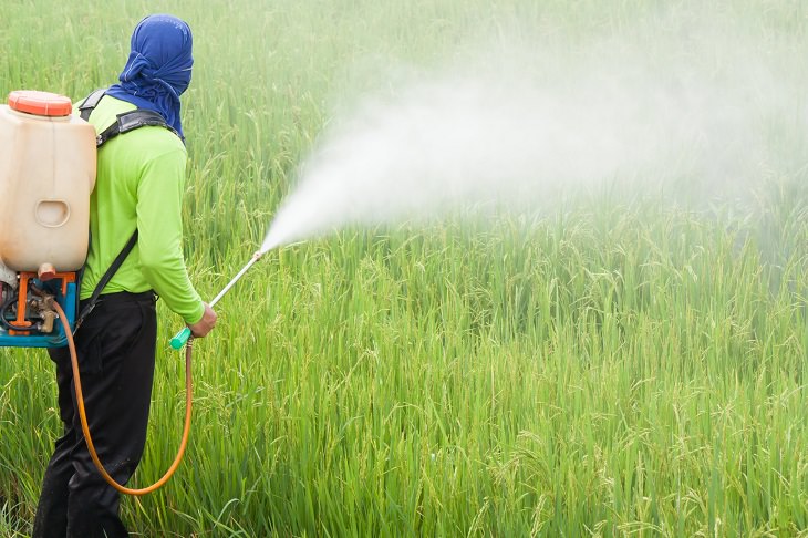 foods-that-have-the-most-pesticides-on-them-tips-and-updates-babamail