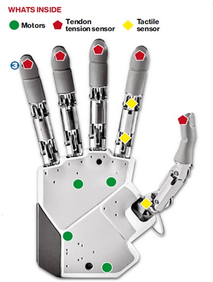 bionic hand