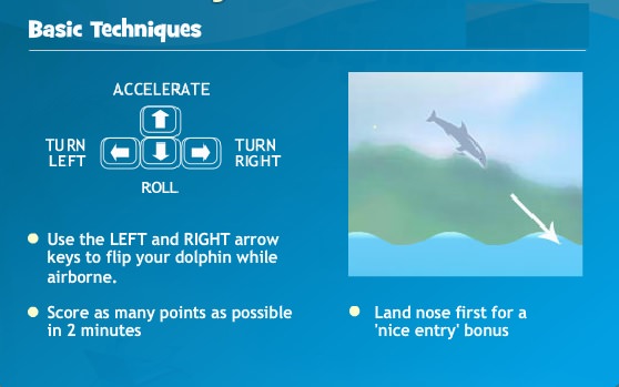 dolphin olympics explanation