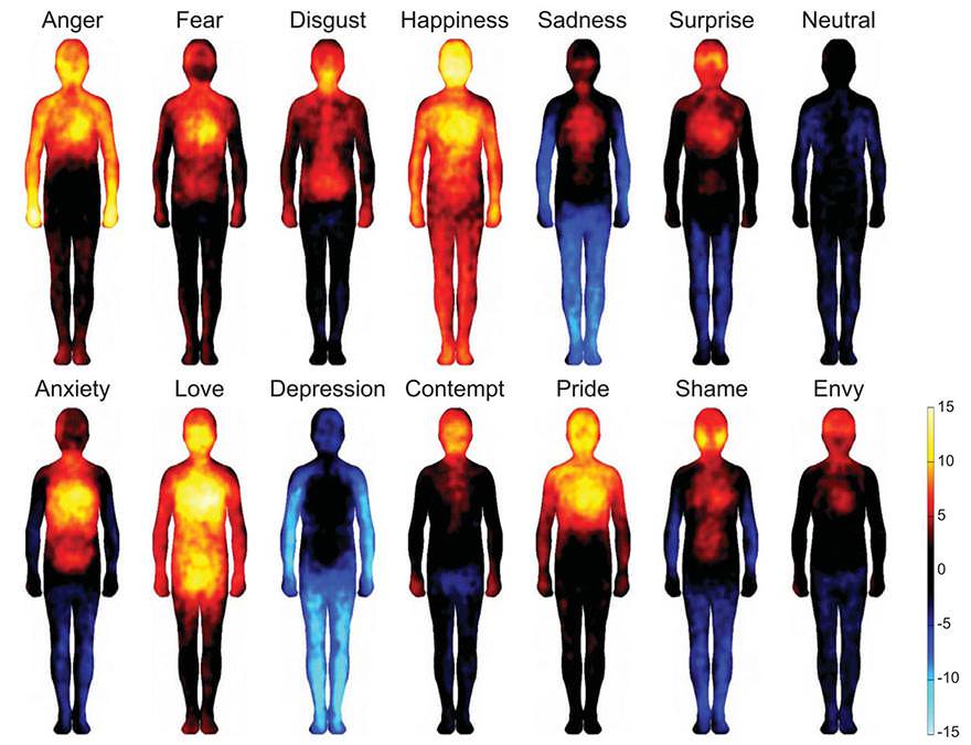 Emotional Heat - Where Do We Feel Emotions?