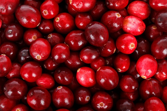 20 Reasons to Add Cranberries to Your Daily Diet