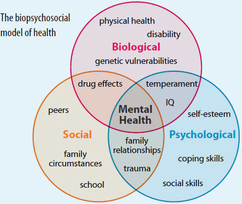 biopsychosocial