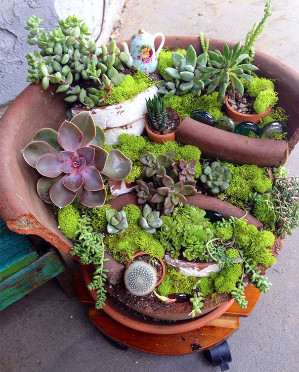 Miniature Garden in Broken Pots