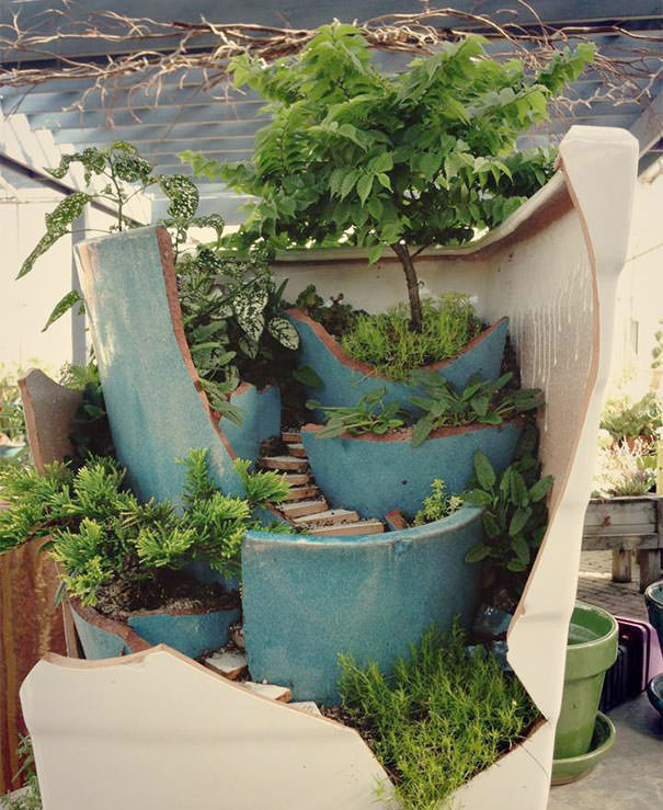 Miniature Garden in Broken Pots