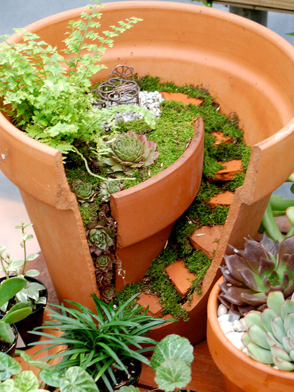 Miniature Garden in Broken Pots