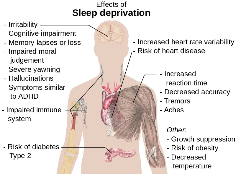 A Guide to Sleep Deprivation and Better Napping