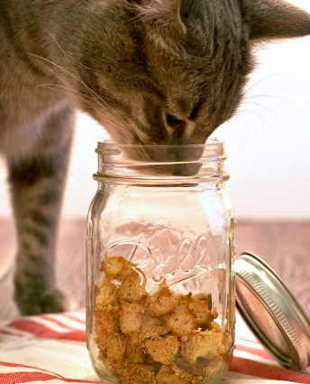 How to Make Pet Treats at Home