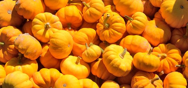 pumpkins