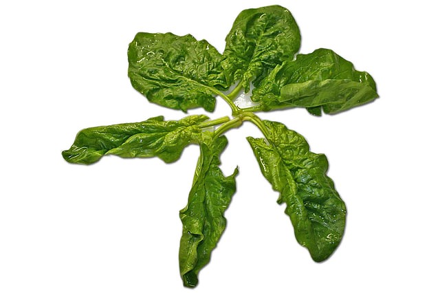 spinach