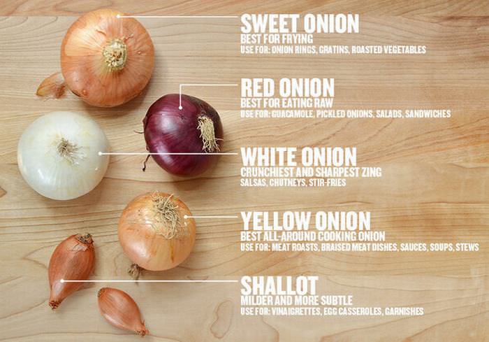 Onions Infographic