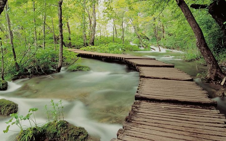Plitvice National Park: Croatia's Secret Eden