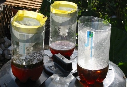 DIY: 12 New Uses for Plastic Bottles