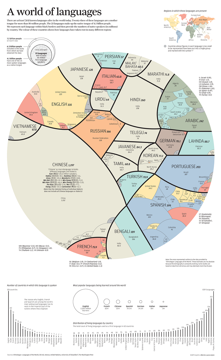 world languages infographic