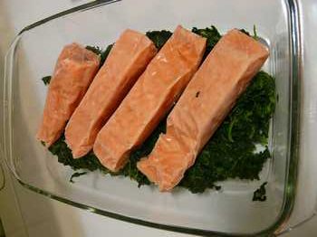 salmon