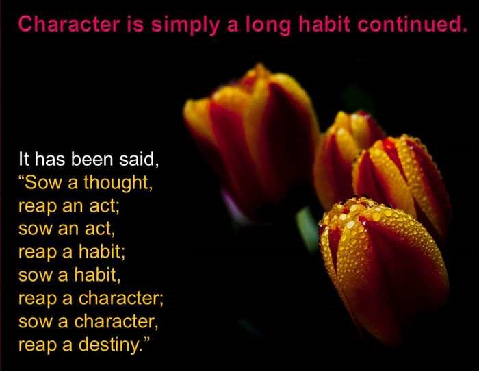 thoughts about character