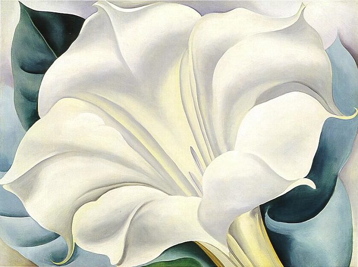 Georgia O’Keeffe’s Powerful Paintings