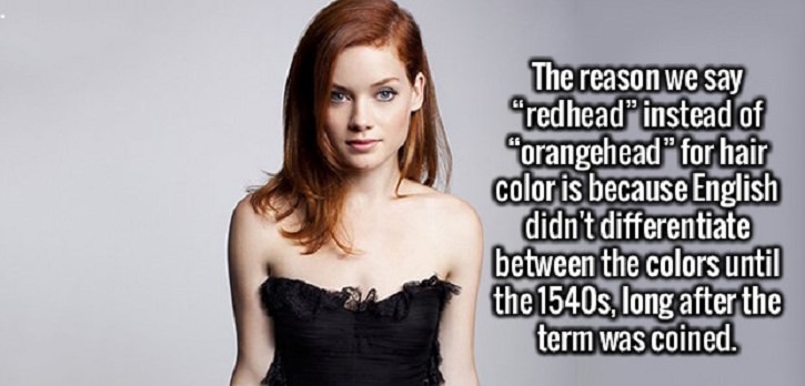 17 Fun Facts to Brighten Your Day