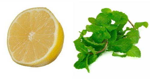 lemon and peppermint