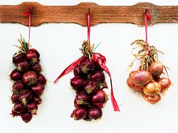 Onions hanging
