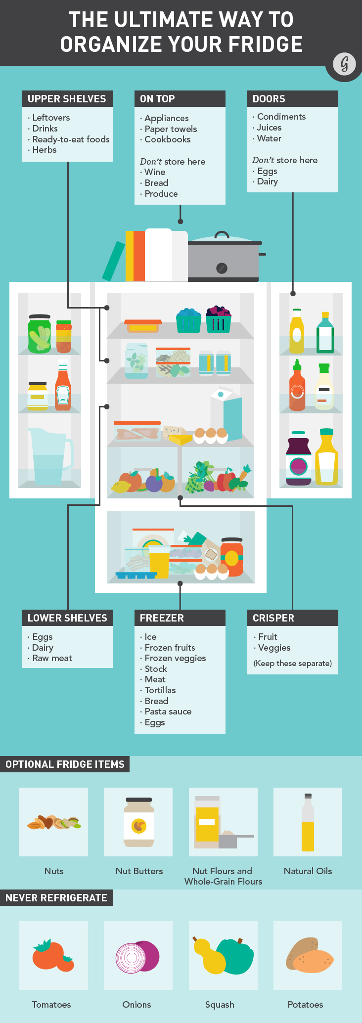 Fridge Infographic