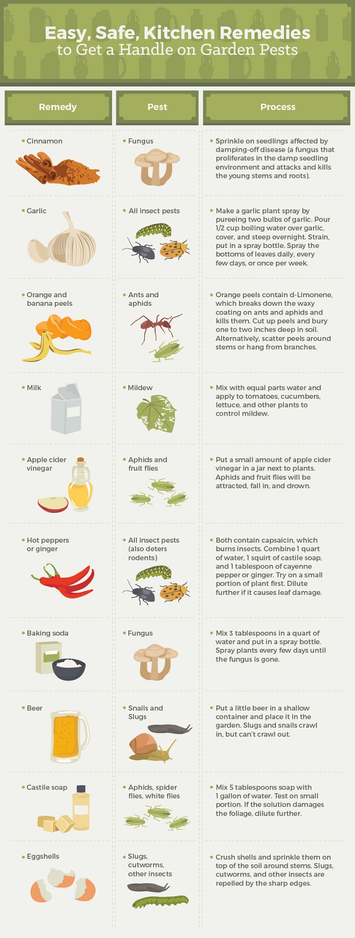 Kitchen remedies to protect against pests