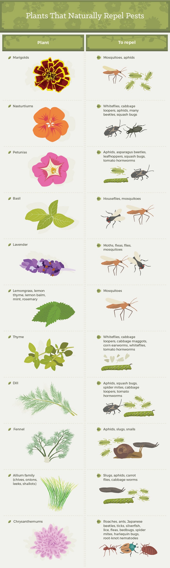 Plants that attract predators