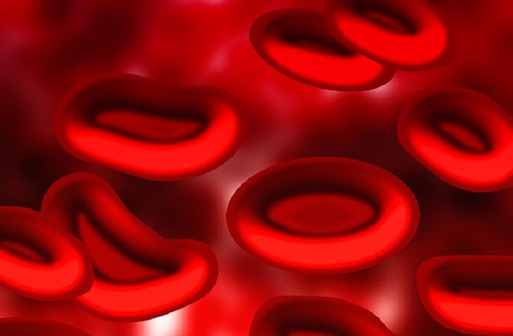 Red Blood Cells