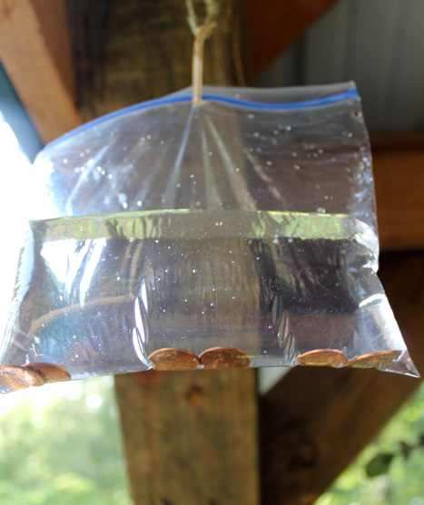 A clever way to keep flies away...