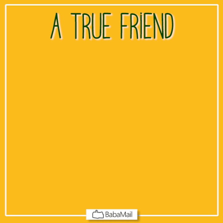 A True Friend is Hard to Find...